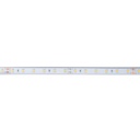 24V DC LED Strip - 12W/m - Single Color - 12mm - IP67 - 5 meters - SMD2835 60LED/m