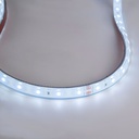 24V DC LED Strip - 12W/m - Single Color - 12mm - IP67 - 5 meters - SMD2835 60LED/m