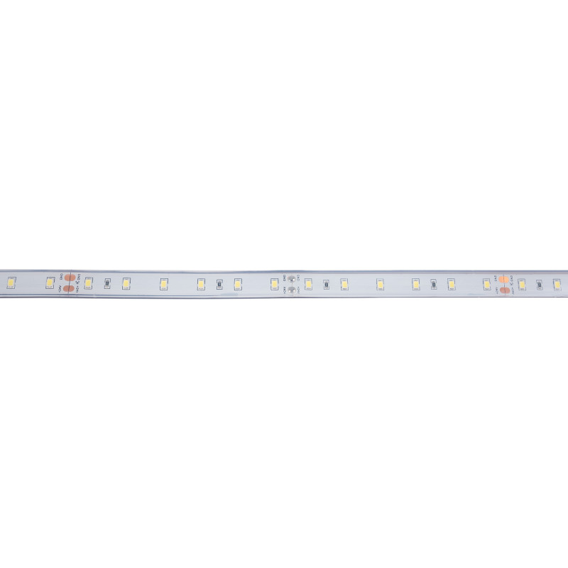 24V DC LED Strip - 12W/m - Single Color - 12mm - IP67 - 5 meters - SMD2835 60LED/m