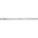 24V DC LED Strip - 12W/m - Single Color - 12mm - IP67 - 5 meters - SMD2835 60LED/m