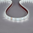 24V DC LED Strip - 12W/m - Single Color - 12mm - IP67 - 5 meters - SMD2835 60LED/m