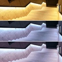 24V DC LED Strip - 12W/m - Single Color - 12mm - IP67 - 5 meters - SMD2835 60LED/m