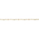 Single color IC COB LED strip - 24V DC - 12W/m - IP20 - 360LED/m - Width 10mm - 5 meters