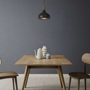 Metal and wood pendant lamp - "Loop"