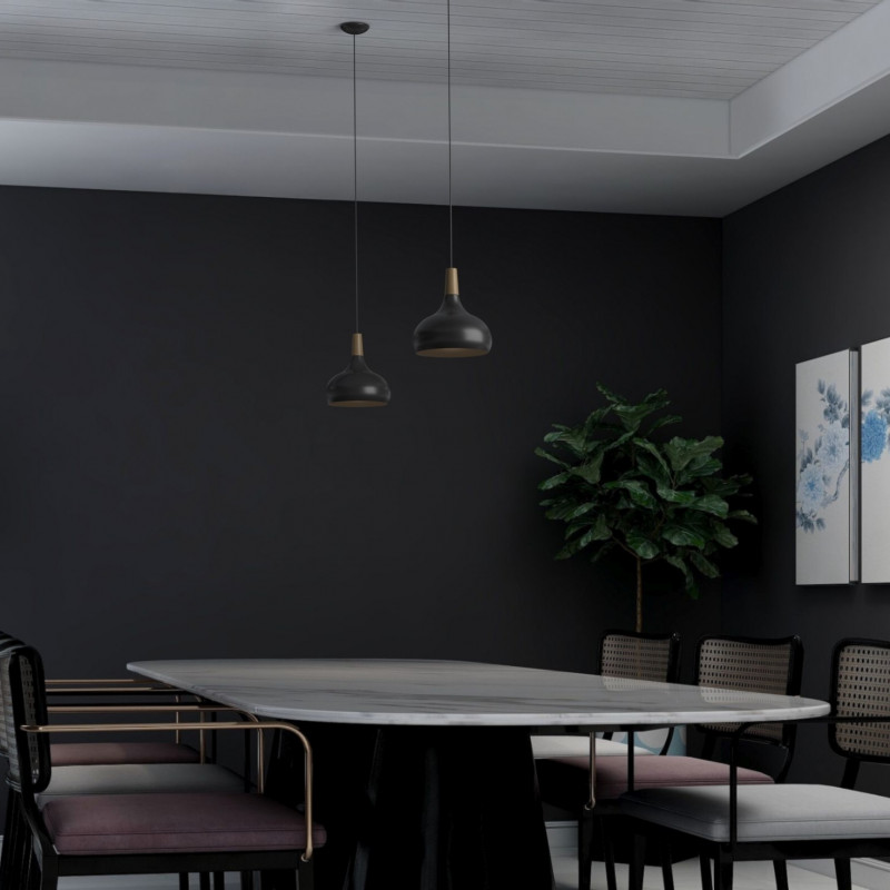 Metal and wood pendant lamp - "Loop"