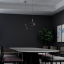 Metal and wood pendant lamp - "Loop"