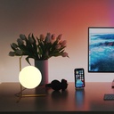 Sphere table lamp "Ripper"