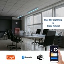 Linear pendant luminaire "Blue Skylight" SMART - CCT - Sky effect - 48W - UGR16