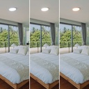 Round CCT LED Ceiling light - 24W - IP40