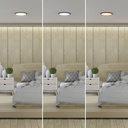 Round CCT LED Ceiling light - 24W - IP40