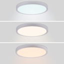 Round CCT LED Ceiling light - 24W - IP40