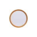 Round CCT LED Ceiling light - 24W - IP40