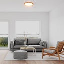 Round CCT LED Ceiling light - 40W - IP40