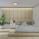 Round CCT LED Ceiling light - 40W - IP40