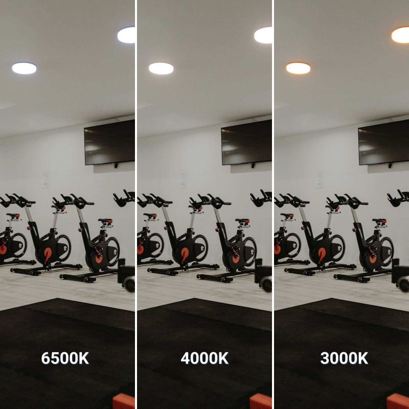 Tri-proof CCT LED ceiling light with motion sensor - 24W - Ø28cm - IP65