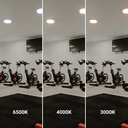 Tri-proof CCT LED ceiling light with motion sensor - 24W - Ø28cm - IP65