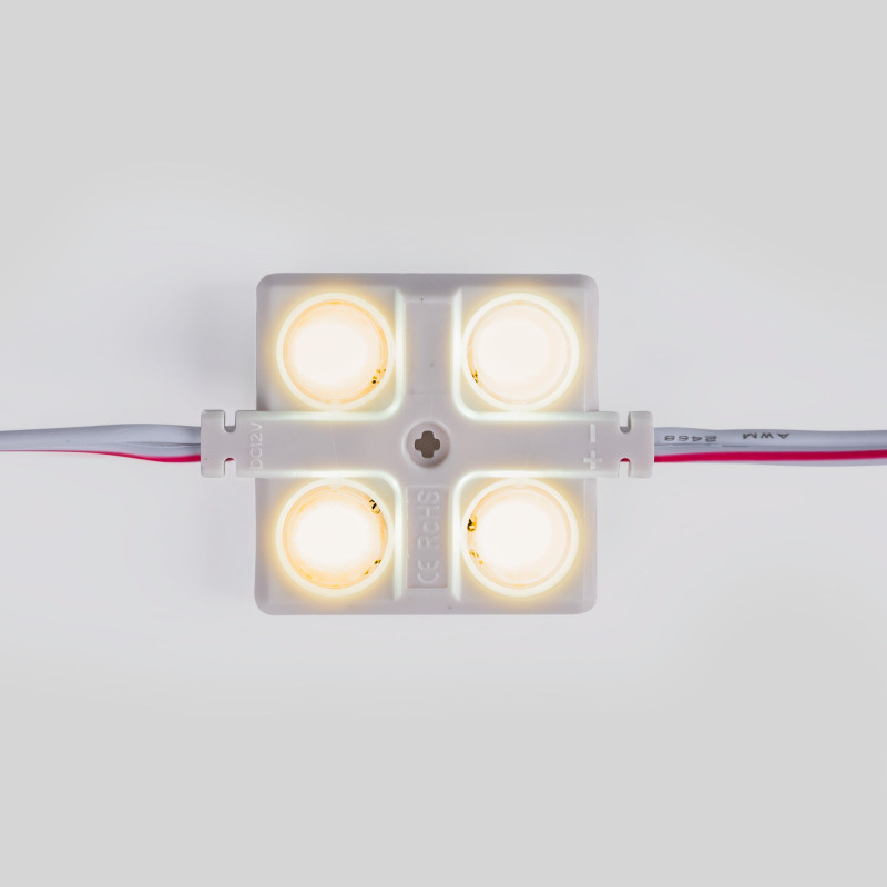LED module for illuminated signs - 2W - 12V - IP65 - 160º - 6000K