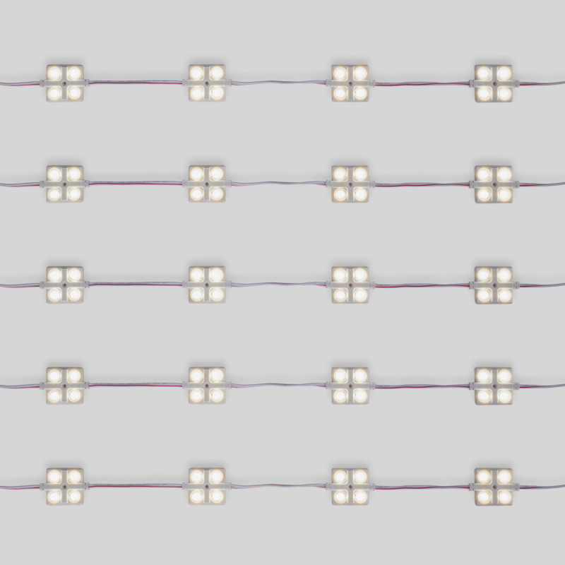 LED module for illuminated signs - 2W - 12V - IP65 - 160º - 6000K