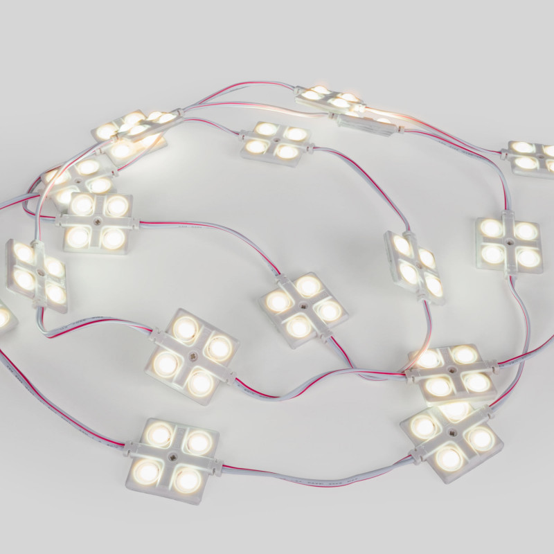 LED module for illuminated signs - 2W - 12V - IP65 - 160º - 6000K
