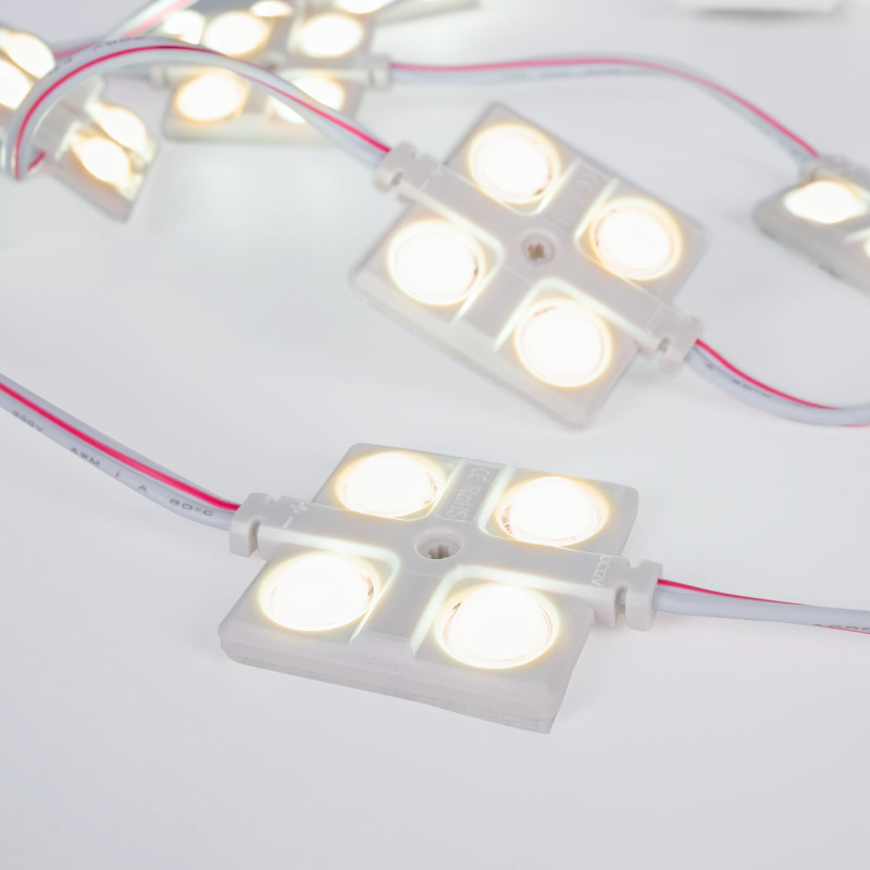 LED module for illuminated signs - 2W - 12V - IP65 - 160º - 6000K