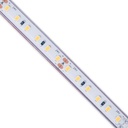 Submersible 24V DC LED Strip - Monochrome - 9.6W/m - 10mm - IP68 - 5 metres - 120LED/m