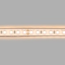 Submersible 24V DC LED Strip - Monochrome - 9.6W/m - 10mm - IP68 - 5 metres - 120LED/m