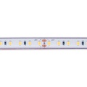 Submersible 24V DC LED Strip - Monochrome - 9.6W/m - 10mm - IP68 - 5 metres - 120LED/m