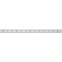 Submersible 24V DC LED Strip - Monochrome - 9.6W/m - 10mm - IP68 - 5 metres - 120LED/m