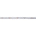 Submersible 24V DC LED Strip - Monochrome - 9.6W/m - 10mm - IP68 - 5 metres - 120LED/m