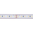 Submersible 24V DC LED Strip - Monochrome - 9.6W/m - 10mm - IP68 - 5 metres - 120LED/m