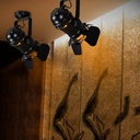Adjustable ceiling lamp "Cinema" - E27