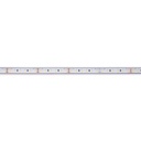 Submersible 24V DC LED Strip - Monochrome - 9.6W/m - 10mm - IP68 - 5 metres - 120LED/m