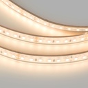Submersible 24V DC LED Strip - Monochrome - 9.6W/m - 10mm - IP68 - 5 metres - 120LED/m