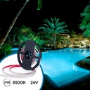 Submersible 24V DC LED Strip - Monochrome - 9.6W/m - 10mm - IP68 - 5 metres - 120LED/m