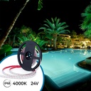 Submersible 24V DC LED Strip - Monochrome - 9.6W/m - 10mm - IP68 - 5 metres - 120LED/m