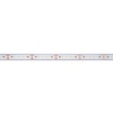 Submersible 24V DC LED Strip - Monochrome - 9.6W/m - 12mm - IP68 - 10 metres - 120LED/m