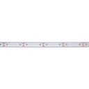 Submersible 24V DC LED Strip - Monochrome - 9.6W/m - 12mm - IP68 - 10 metres - 120LED/m