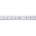 Submersible 24V DC LED Strip - RGBW - 14.4W/m - 12mm - IP68 - 10 metres - 60LED/m