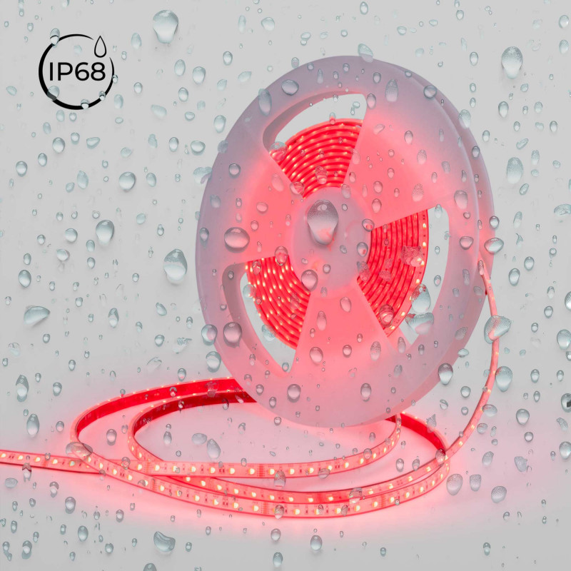 Submersible 24V DC LED Strip - RGBW - 14.4W/m - 12mm - IP68 - 10 metres - 60LED/m