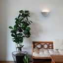 Wall light "Bol" - plaster - 1 x E14