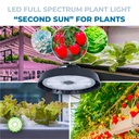 LED Grow Light - High bay - 150W - Full Spectrum
