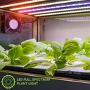LED Grow Light - 250W - Dimmable 0-10V - Full Spectrum