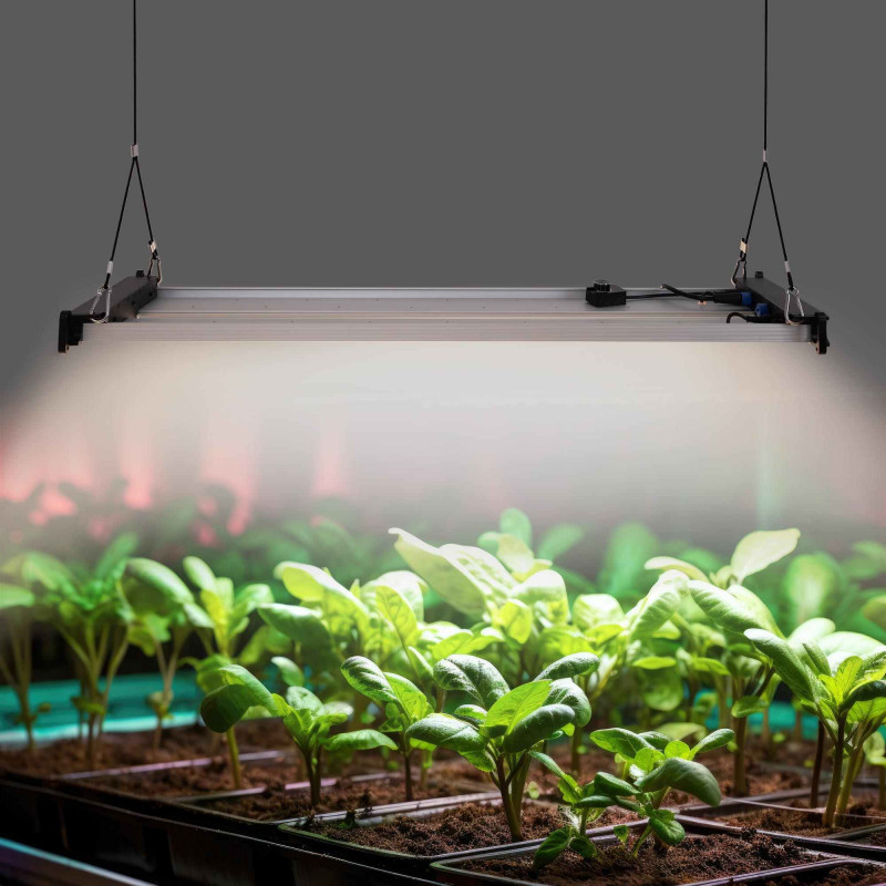 LED Grow Light - 250W - Dimmable 0-10V - Full Spectrum