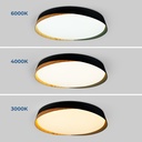CCT LED 24W ceiling light - Wood effect - ø40cm - IP22