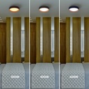 CCT LED 24W Ceiling light - Wood Effect - Ø40cm