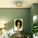 CCT LED slant ceiling light - 12W - Wood effect - ø35cm