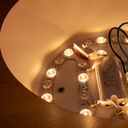 CCT LED 24W ceiling light - Wood effect - ø50cm
