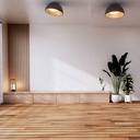 CCT LED 24W ceiling light - Wood effect - ø50cm