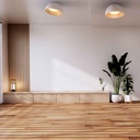 CCT LED 24W ceiling light - Wood effect - ø50cm