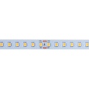 48V DC LED Strip - Single color - 12W/m - 10mm - IP20 - 10 meters - 120ch/m